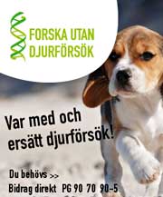 www.forskautandjurforsok.se